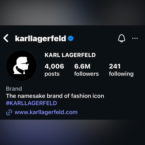 🖤 KARL LAGERFELD PARIS Elegant Black Puff Sleeve Dress - Picture 16 of 16